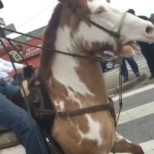 Meet your Posher, Michael